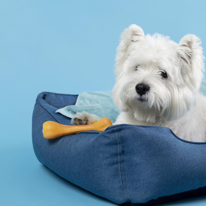 Pet products