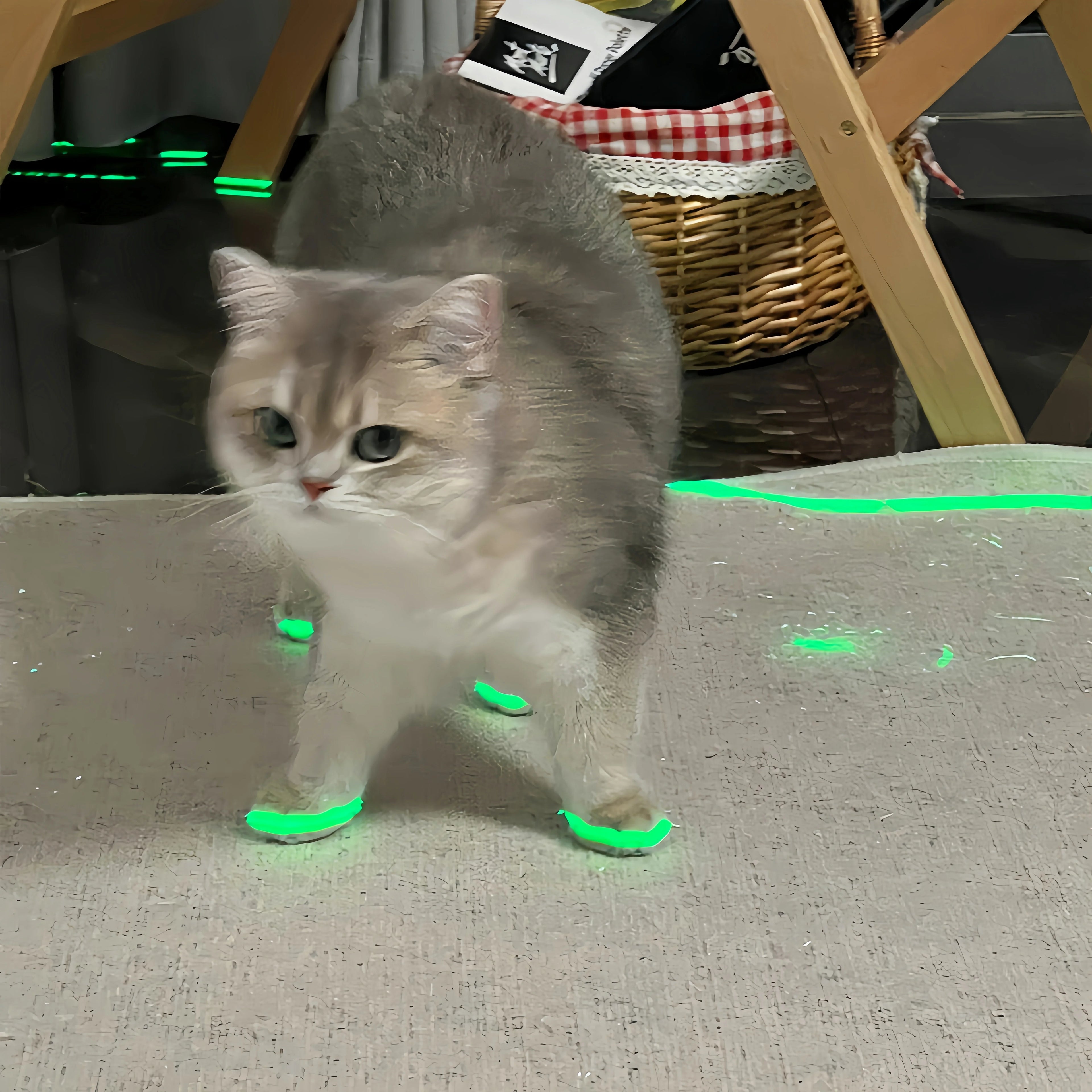 Cat Glowing Tape for Pets | Reflective Safety Tape for Cats & Dogs
