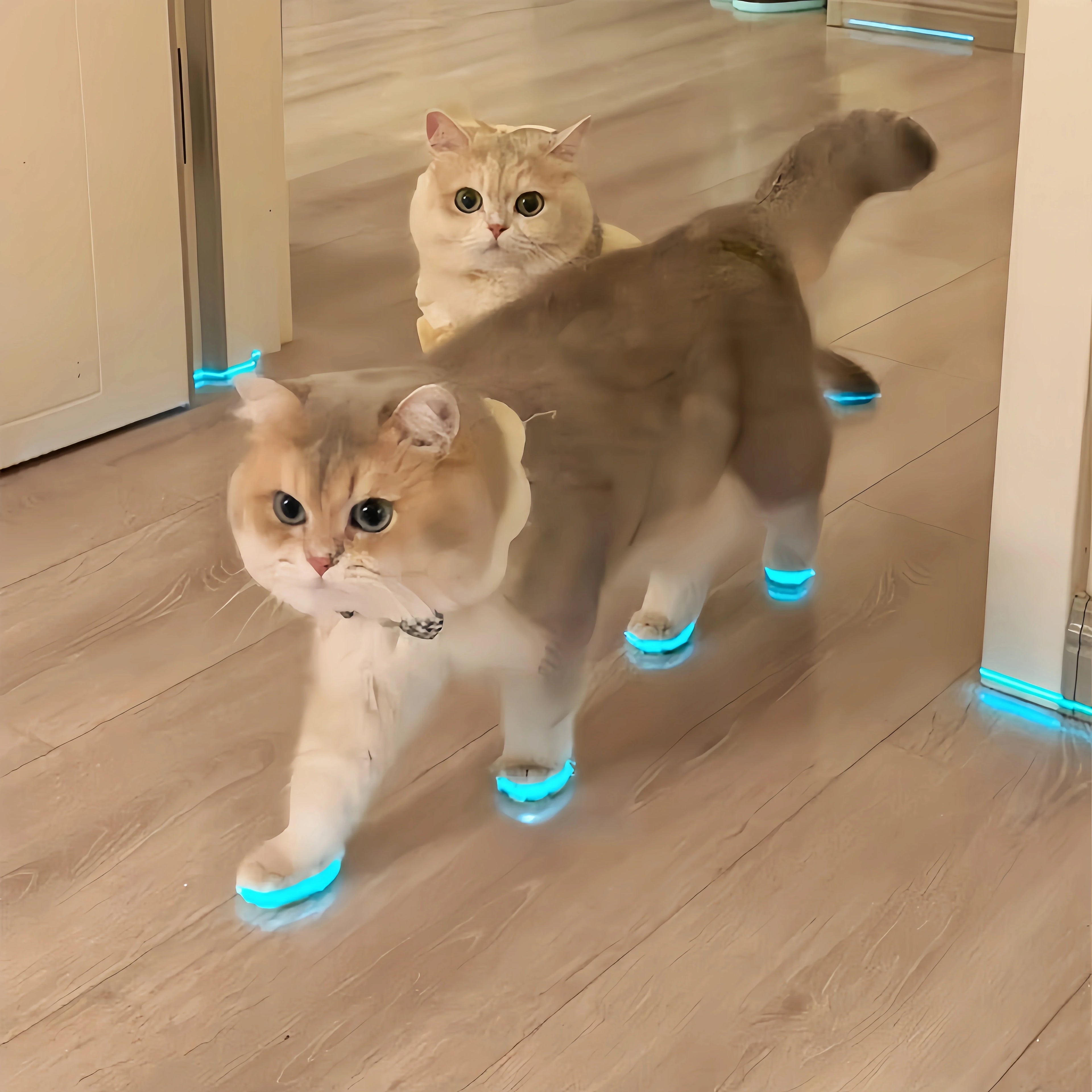 Cat Glowing Tape for Pets | Reflective Safety Tape for Cats & Dogs