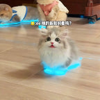 Cat Glowing Tape for Pets | Reflective Safety Tape for Cats & Dogs