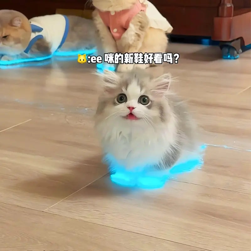 Cat Glowing Tape for Pets | Reflective Safety Tape for Cats & Dogs
