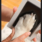 Pet Paw Print Keepsake Kit | Inkless Paw Memory Frame for Cats & Dogs