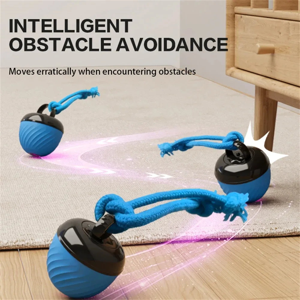 Smart Electric Interactive Cat Toy Automatic Ball
