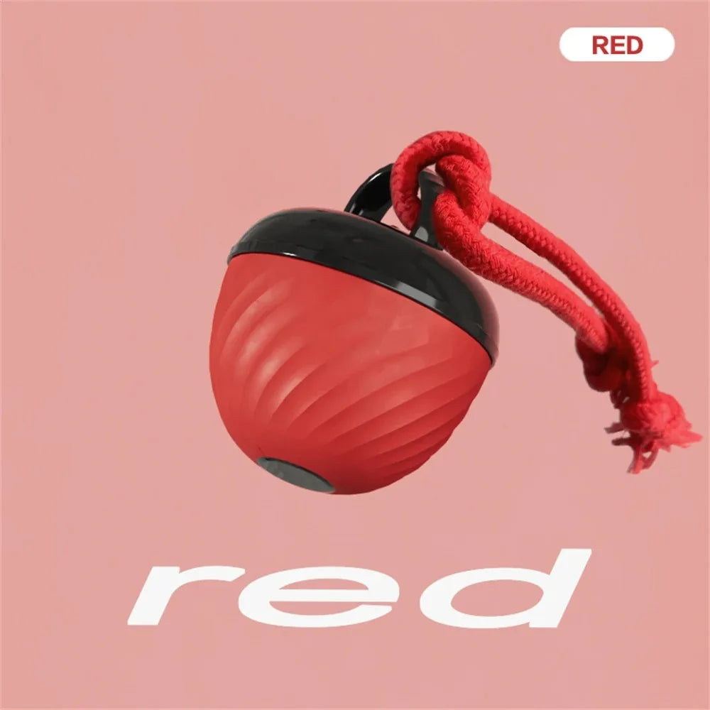 Smart Electric Interactive Cat Toy Automatic Ball